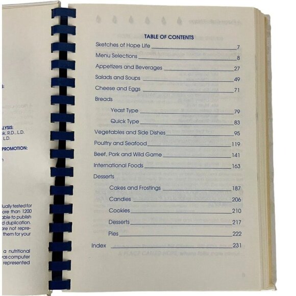 A Place Called Hope Arkansas Junior Auxiliary Cookbook Recipes 1993 Spiral Bound - Picture 5 of 13
